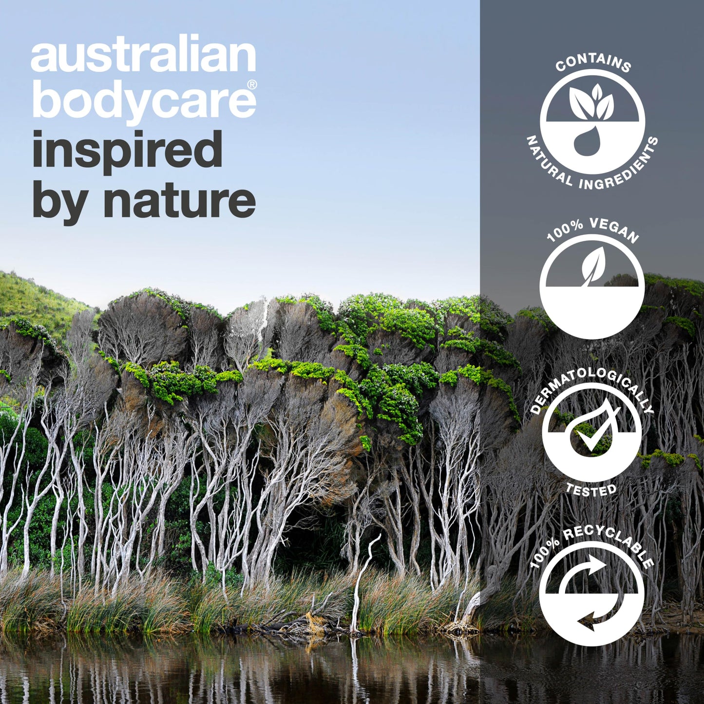 After Shave Balsam 200ml | Mit 100% Natürliches Teebaumöl | Vegan - Aftershave Lotion gegen Eingewachsene Haare, Rasurbrand & rote Pickel nach der Rasur